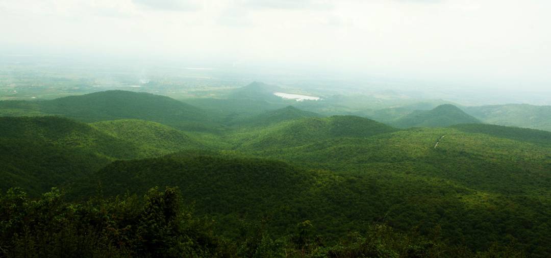 Biligiri Rangana Hills